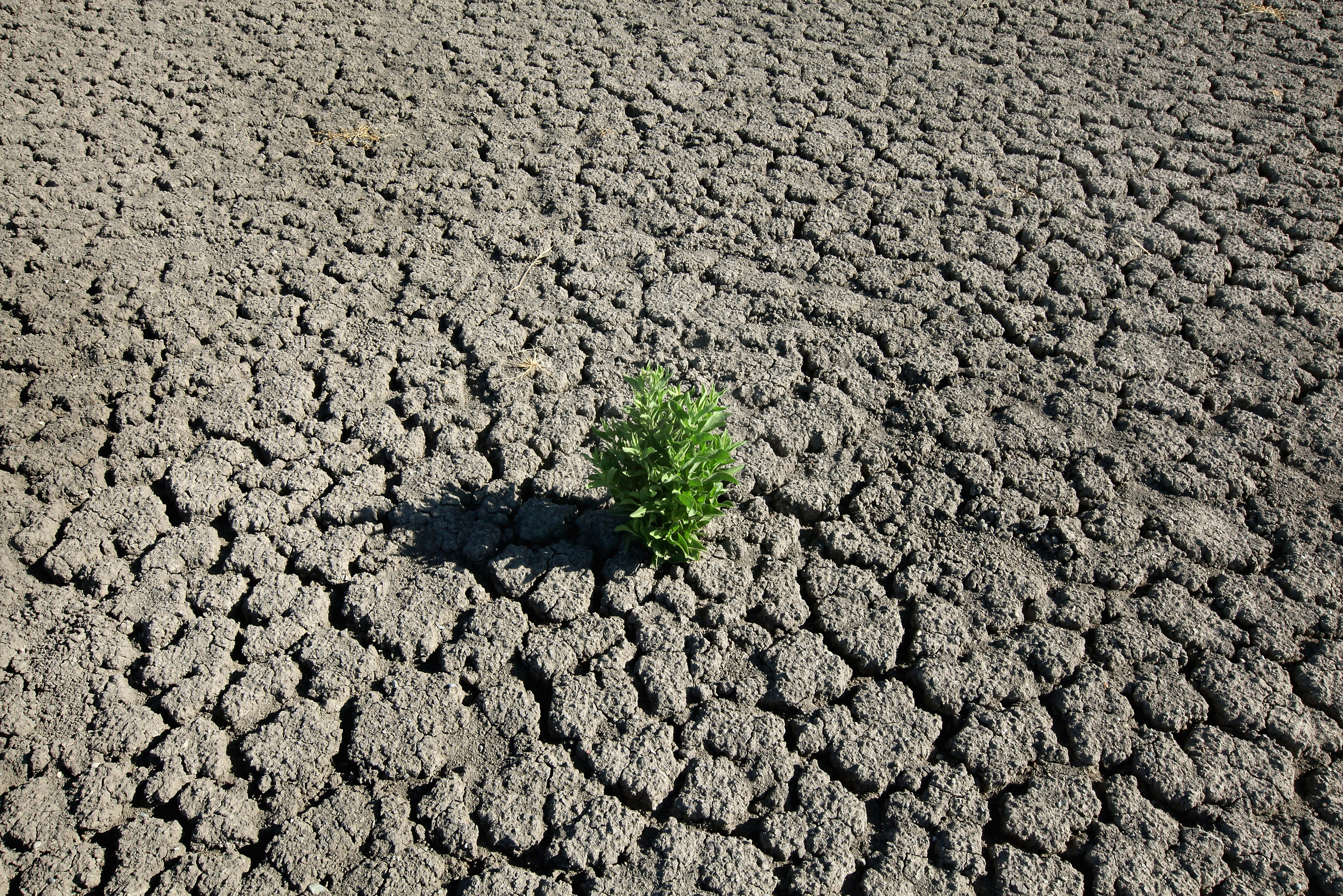 Water-supply problem could cost one Texas city up to $1.5 million