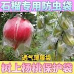熱銷 番石榴塑料袋 水果保護套袋樹上用防蟲防果蠅套袋*~特價