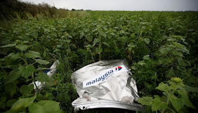 The downing of MH17, the 298 people lost, and the global frenzy that followed: A Dutch head investigator’s reflections