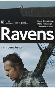 Ravens