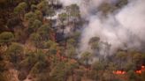 Incendios forestales dañaron dos casas