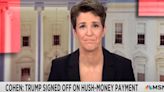 Rachel Maddow Gags On Air After Relaying Trump Story From Michael Cohen Testimony