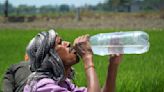 ‘110 heatwave deaths, over 40,000 heatstroke cases across country’, say Union health ministry sources