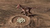 What fossil eggs found in Alberta reveal about how dinosaurs became birds