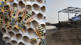 10 Israeli soldiers hospitalized for wasp stings after their tank ran over a swarm's nest in Gaza