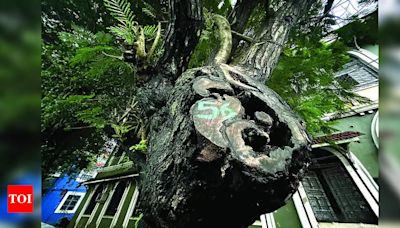 'Roots of toll from trees lie in exclusion of expert wisdom' | Goa News - Times of India