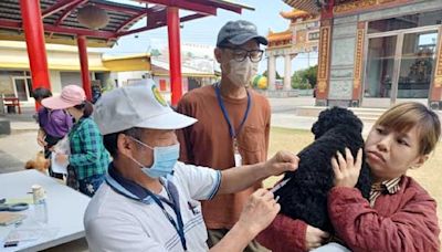 中市5、6月狂犬疫苗開打！守護毛孩健康