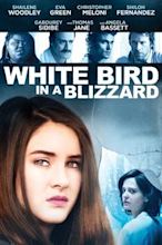 White Bird in a Blizzard