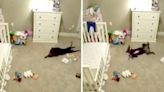 Nursery camera captures dog’s strange behavior in off-limits baby room: ‘He doesn’t know we installed a camera’