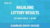 Nagaland Sambad Lottery Dear Goose Tuesday Winners - Discover The Results From May 7