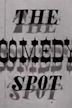 The Comedy Spot