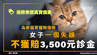 保險索償個案：為愛貓買寵物保險、一個失誤不獲賠3,500元診金