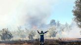 Athens suburbs burn as Greece calls on EU for help