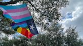 Empowerment, pride, self love: What Trans Visibility Day means for trans North Texans