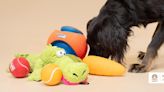 The best toys for every type of dog