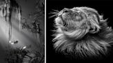 'One Shot' Contest Winners Exemplify Emotion of Black and White Photos