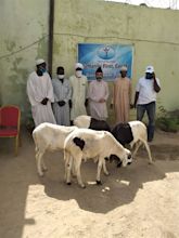 Qurbani – Humanity First – Serving Mankind