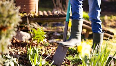 Four essential gardening jobs to do now in preparation for autumn