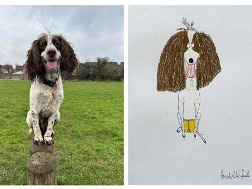 Artist known for his 'rubbish' pet drawings to take on 24-hour drawing challenge