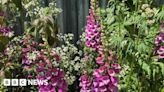 Chelsea Flower show garden celebrates National Trust founder