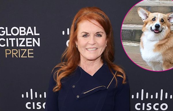 Sarah Ferguson Says Her and Queen Elizabeth's Dogs Get Along Well