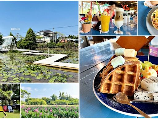 青林農場：粉色薑荷花、水教堂，親子和情侶的最佳選擇