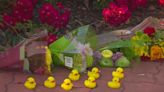 Man fatally struck by car while helping family of ducks cross the street