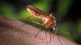 6 area counties receiving state funding from Ohio EPA to assist with mosquito control