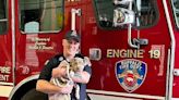 Dog hit by car loses leg, is adopted by firefighter who helped her | Texarkana Gazette