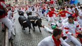 Why Have Bulls Come Out in Droves? It Might Not Be the Reason You Think
