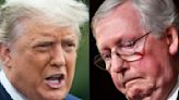 Donald Trump's Latest Tirade Against Mitch McConnell Might Have Everything To Do With the Senate Leader's Not-So-Subtle Dig...