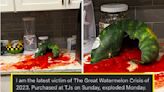 "No One Is Safe": I Hate To Break It To You, But Watermelons Are *Still* Exploding In Kitchens All Over America