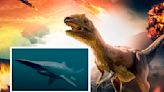 Cómo sobrevivieron los tiburones al asteroide que extinguió a los dinosaurios