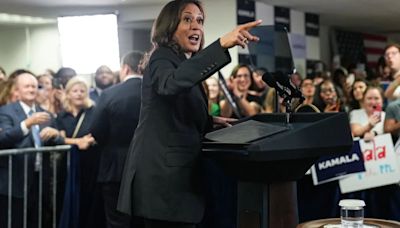 40,000 People On A Zoom Call: How $1.5 Million Was Raised For Kamala Harris