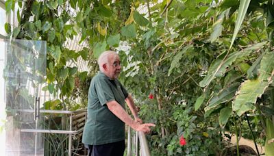 La València Olvidada: El jardín botánico (Por Paco Pérez Puche)