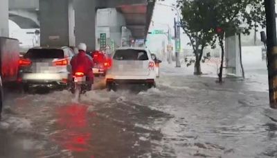 暴雨塞到哭！新莊人趕上班崩潰：1km開1小時還上不了交流道