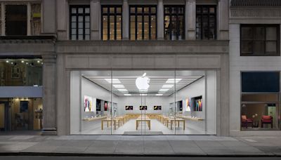 Crime blotter: 'Meatball' pleads guilty in Apple Store looting case, and more! - iPhone Discussions on AppleInsider Forums