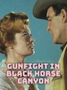 Gunfight in Black Horse Canyon