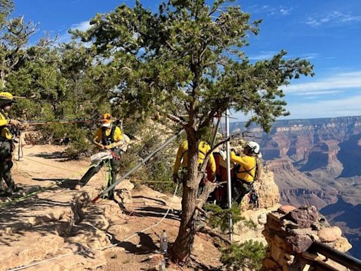 Man dies after attempting illegal BASE jump at the Grand Canyon: NPS