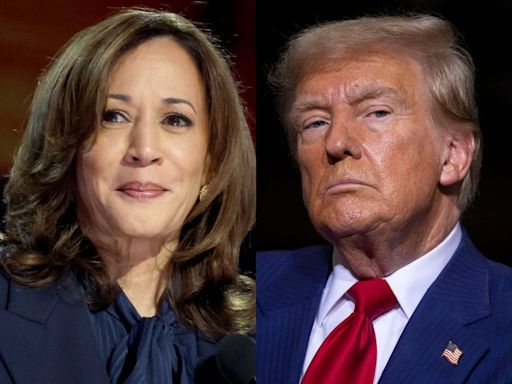 A historian who's correctly predicted 9 out of 10 elections says Kamala Harris will win in 2024