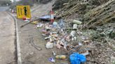 'Welcome to a filthy, littered dump called Britain'