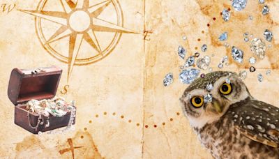 World’s oldest treasure hunt for €150,000 Golden Owl finally solved