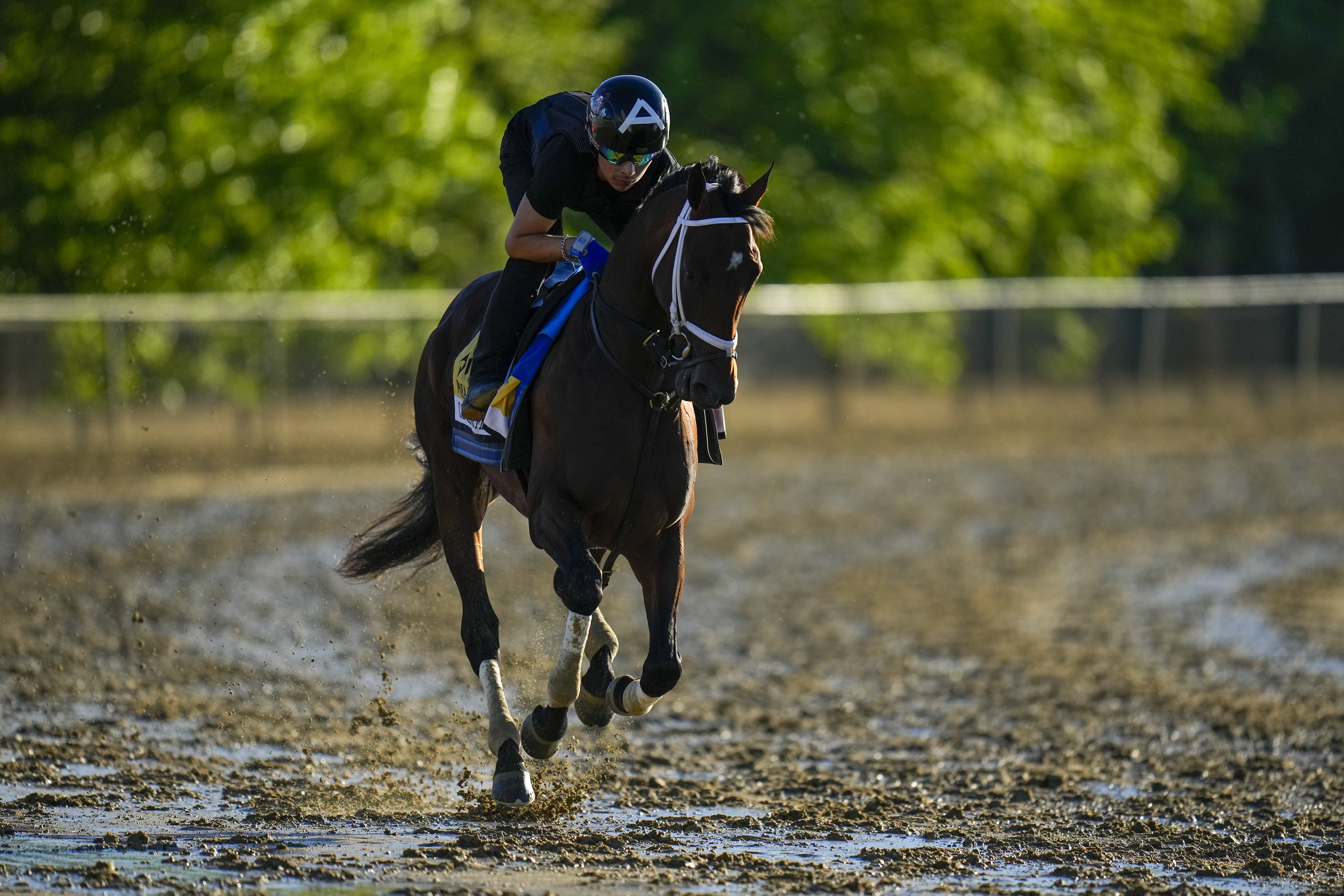 Catching Freedom shows why it was an 'easy decision' to enter him in the Preakness