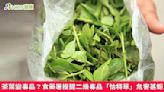 茶葉變毒品？食藥署提醒二級毒品「恰特草」危害甚鉅