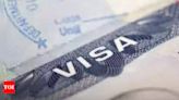 India to fast-track China visas after businesses hit by delays - Times of India