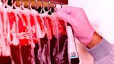 Scientists Intrigued by Bacteria That Turns Any Blood Into Universal Donor Type