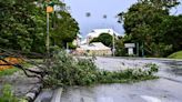 Advierten a residentes de Texas sobre cortes de energía e inundaciones por el paso de Beryl - El Diario NY