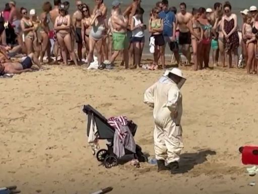 Alarma en la playa de la Concha de San Sebastián: un enjambre de abejas invade un carrito de bebé