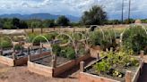 Year-round gardening: Now's the time to join a community garden