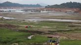 Indigenous groups gathering in Brazil's capital to protest president's land grant decisions